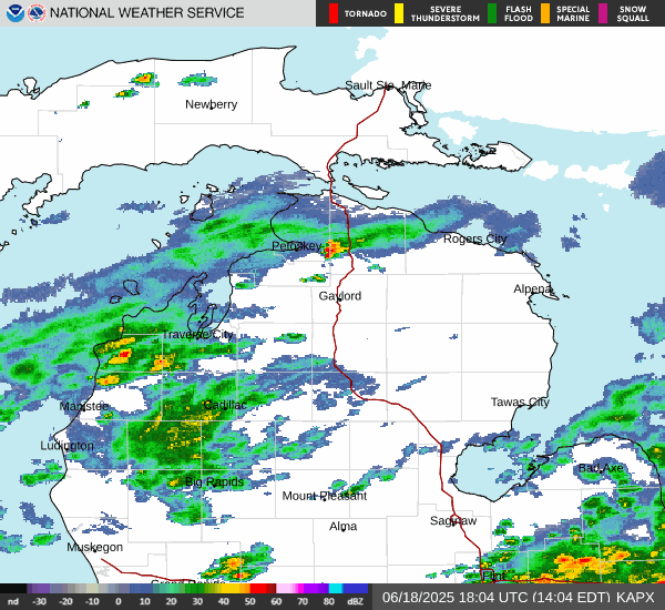 Local Radar Image